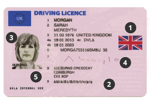 How To Spot Fake Ids W/ Examples & Checklist